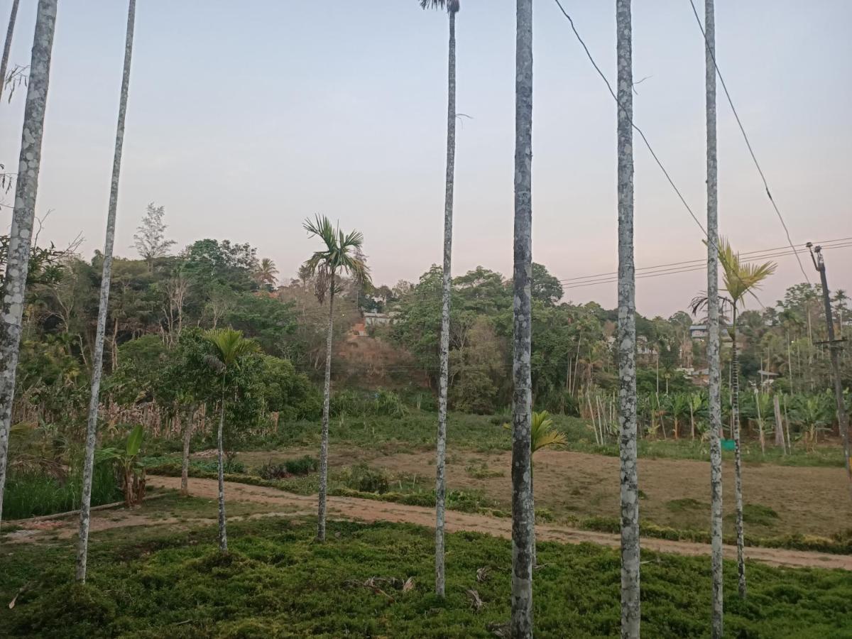 Bethel Service Villa, Mananthavady, Wayanad Zewnętrze zdjęcie